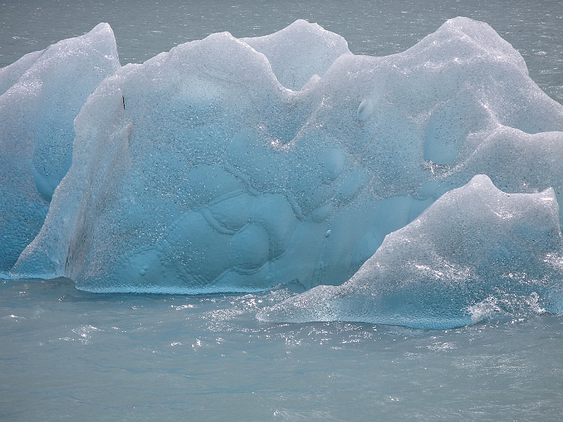 Patagonie 203.jpg